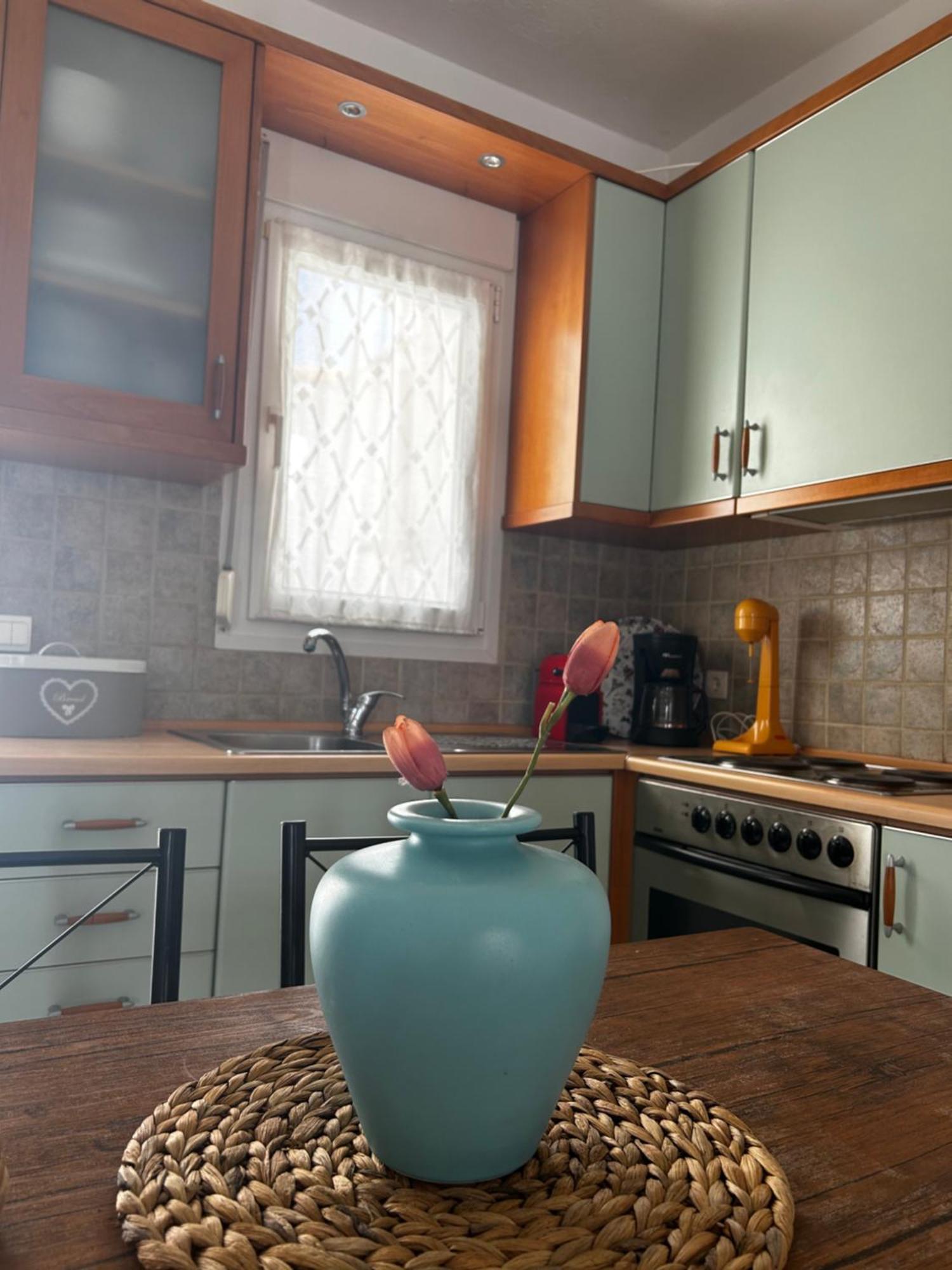 Vila Perfect Hospitality - Elenas House, Nikiti Exteriér fotografie